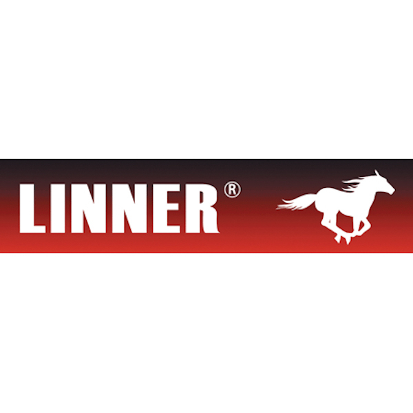 ФВ Linner LA110  ГАЗ 31105  дв.Chrysler